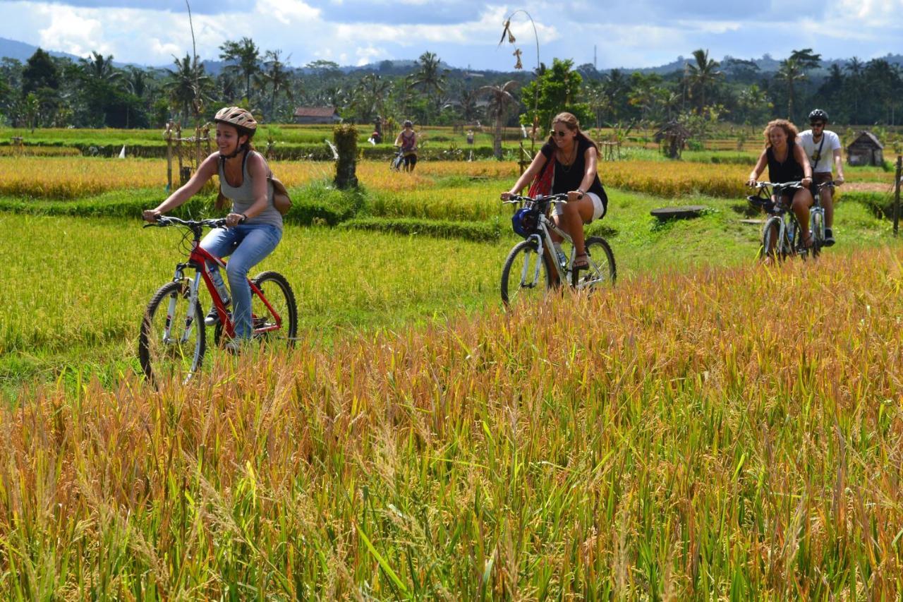 Bali Culture 3* Ubud